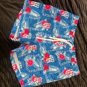 Tommy Hilfiger Blue and Red Swim Trunks